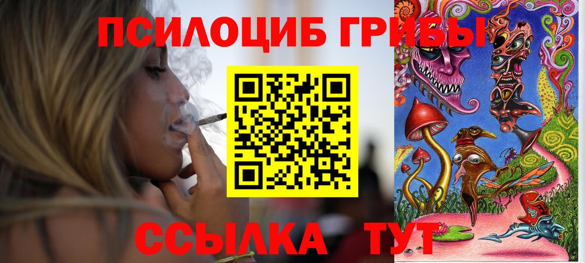 Галлюциногенные грибы Psilocybe Обнинск
