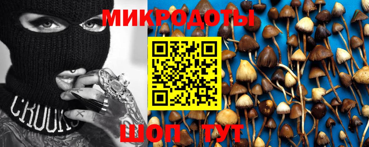 Галлюциногенные грибы GOLDEN TEACHER  Вход с VPN  Обнинск  Псилоцибиновые грибы прущие грибы 